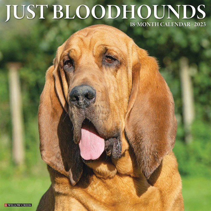 Just Bloodhounds 2023 Calendars