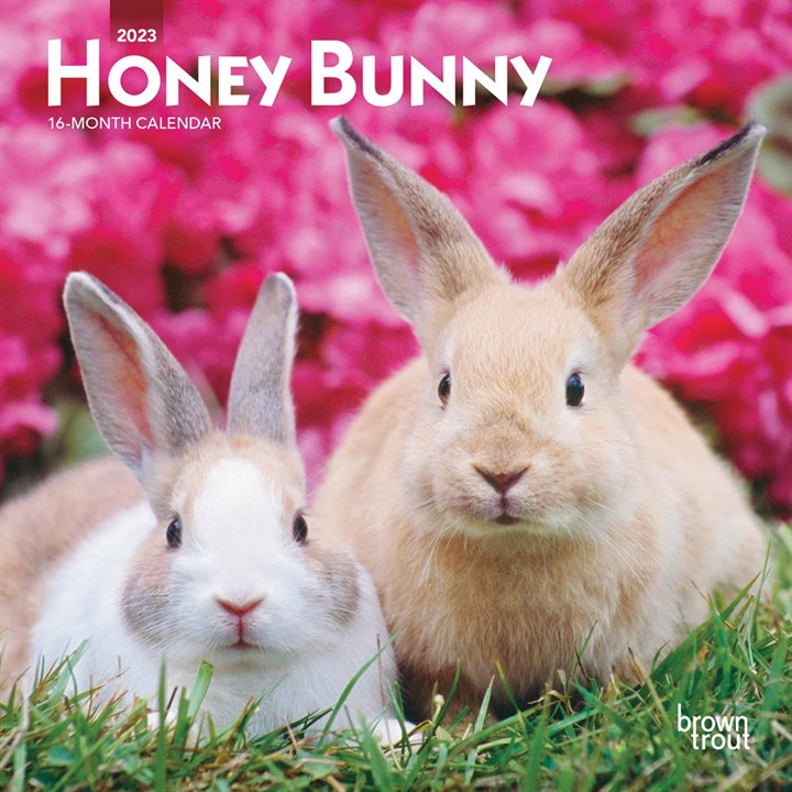 Honey Bunny Mini 2023 Calendars