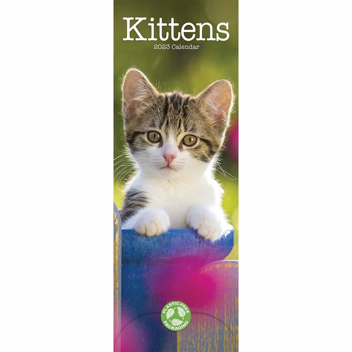 Kittens Slim Calendar 2023