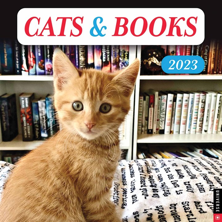 Cats & Books Calendar 2023