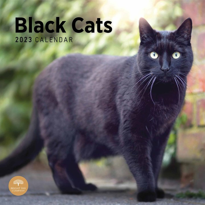 Just Black Cats Calendar 2023