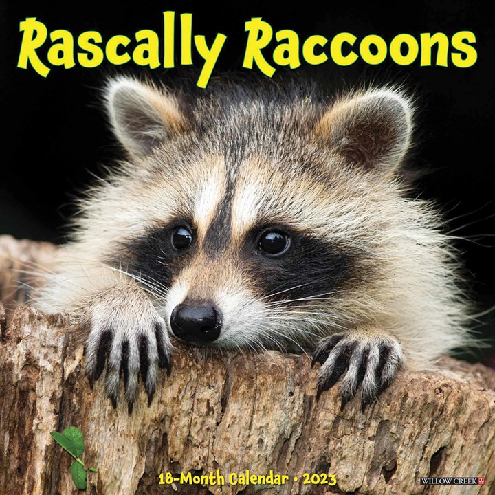 Rascally Raccoons 2023 Calendars