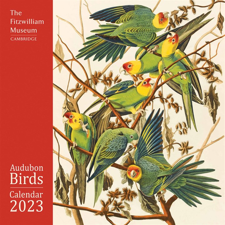 The Fitzwilliam Museum Cambridge, Audubon Birds 2023 Calendars