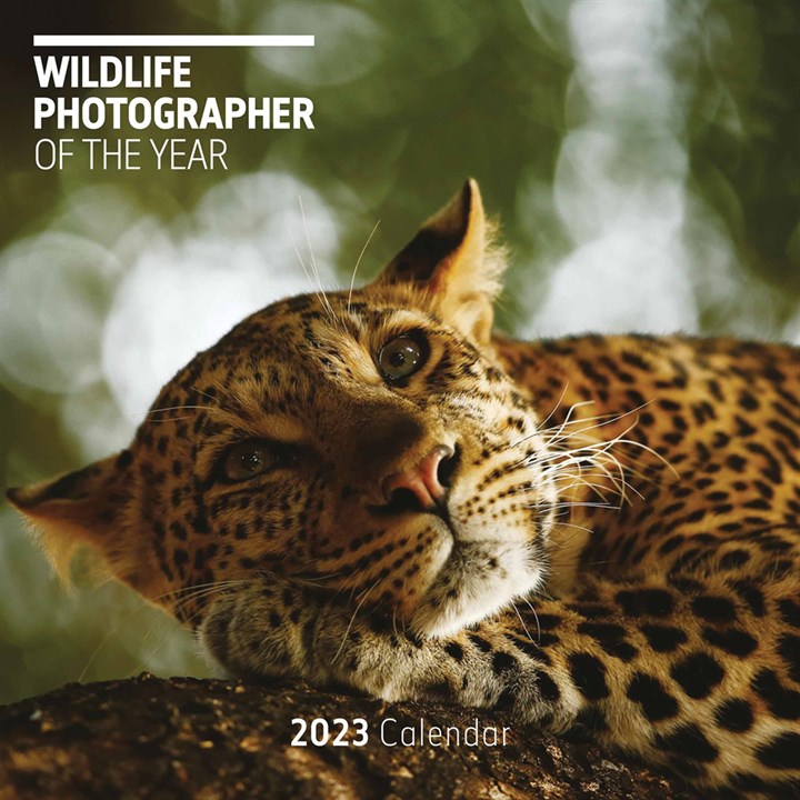 Wildlife Photographer Of The Year Calendar 2023