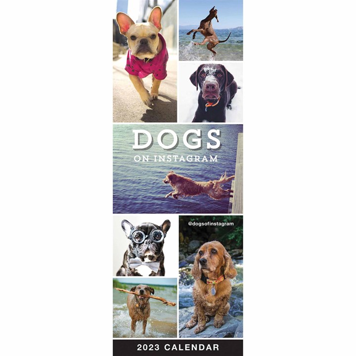 Dogs On Instagram Slim 2023 Calendars