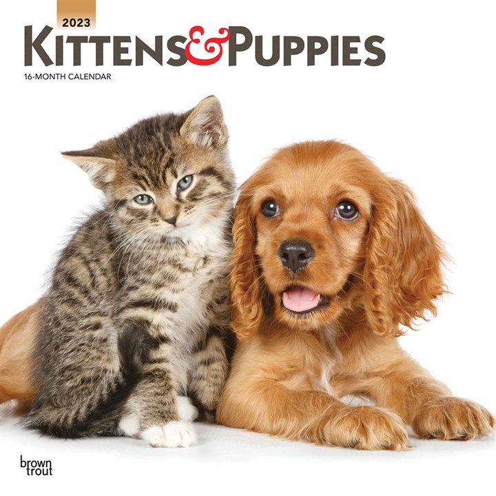 Kittens & Puppies Calendar 2023