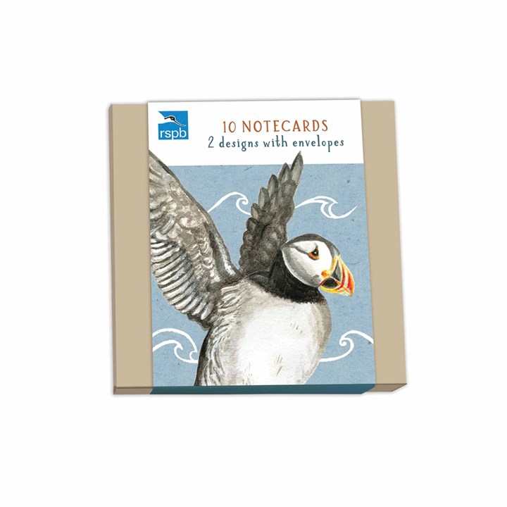 RSPB, In The Wild Birds Square Notecard Set
