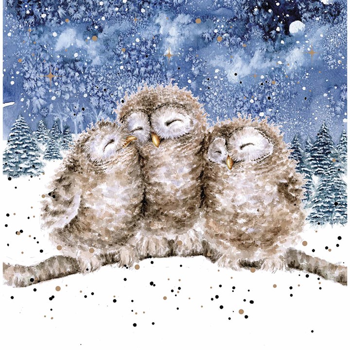 Wrendale Designs, Three Wise Men (Owls) Xmas Cards