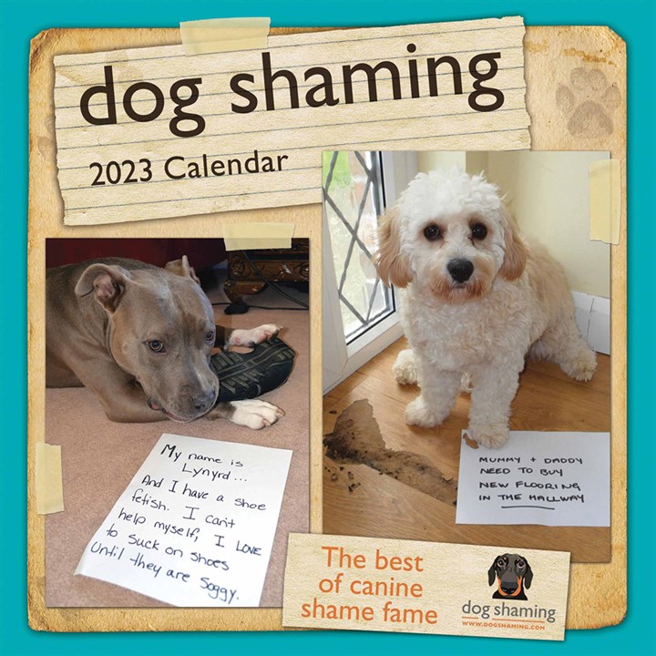 Dog Shaming Mini 2023 Calendars