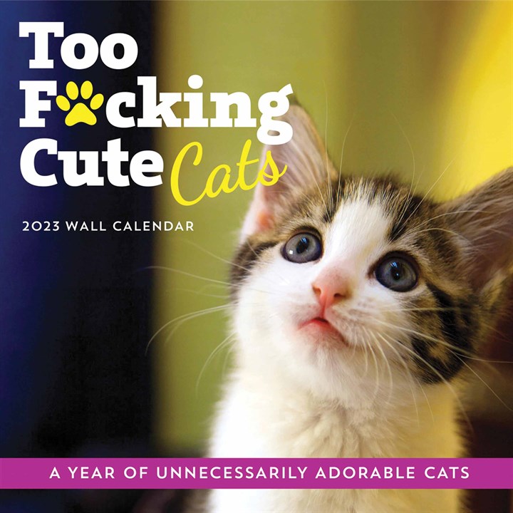 Too F*cking Cute Cats 2023 Calendars