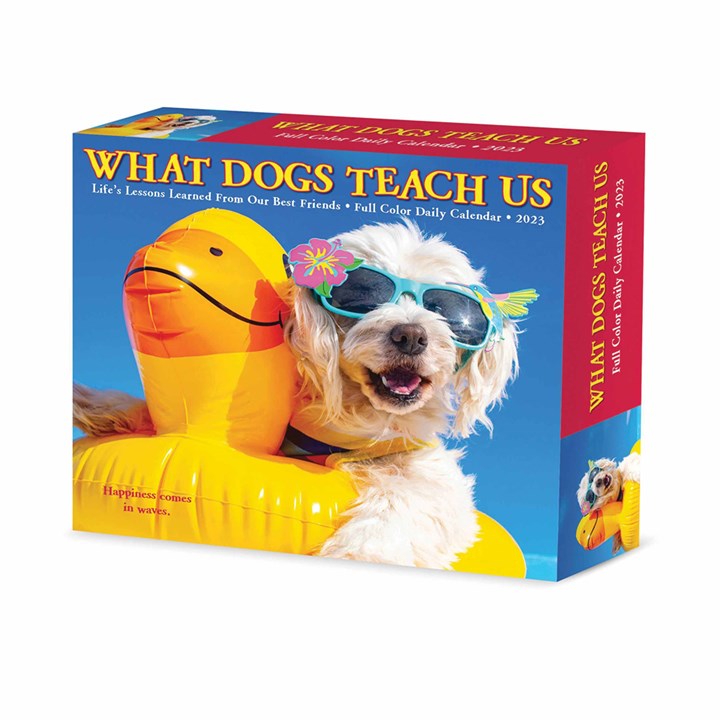 What Dogs Teach Us Desk 2023 Calendars