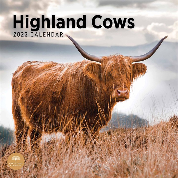 Highland Cows 2023 Calendars