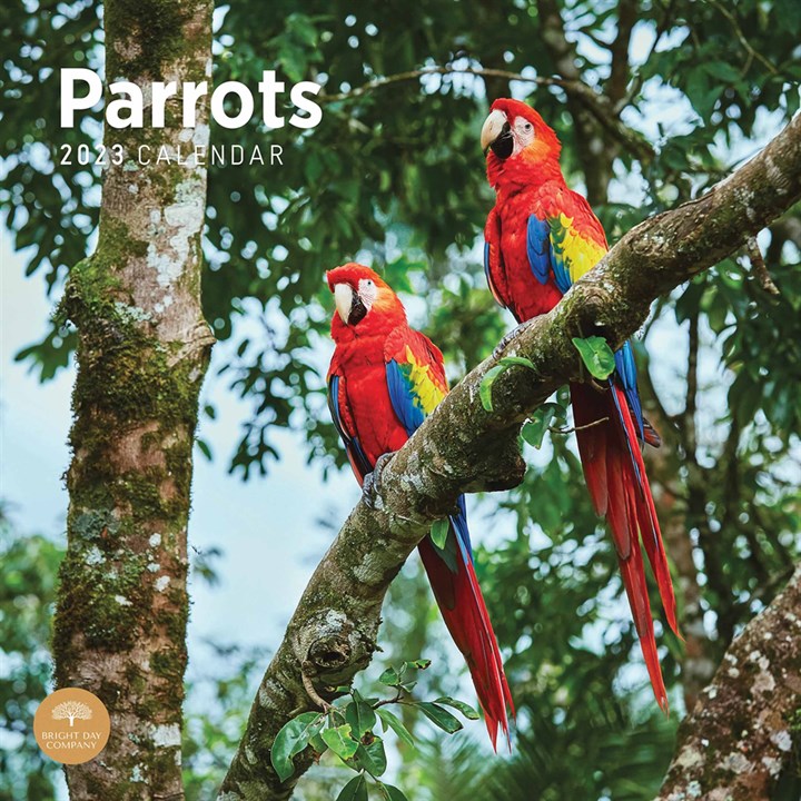Parrots 2023 Calendars