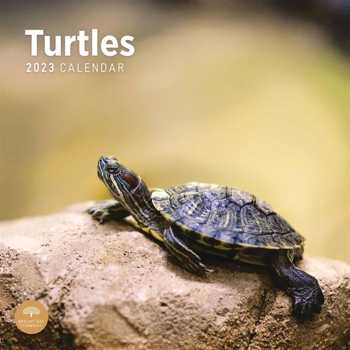 Turtles Calendar 2023 Calendars