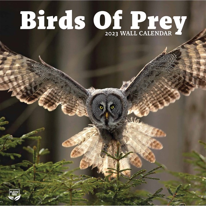 Birds of Prey 2023 Calendars