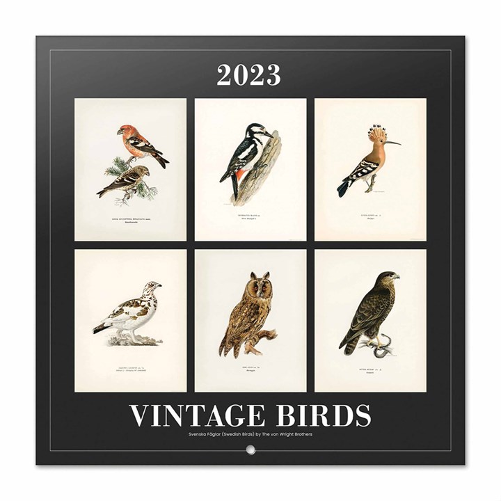 Vintage Birds Official 2023 Calendars