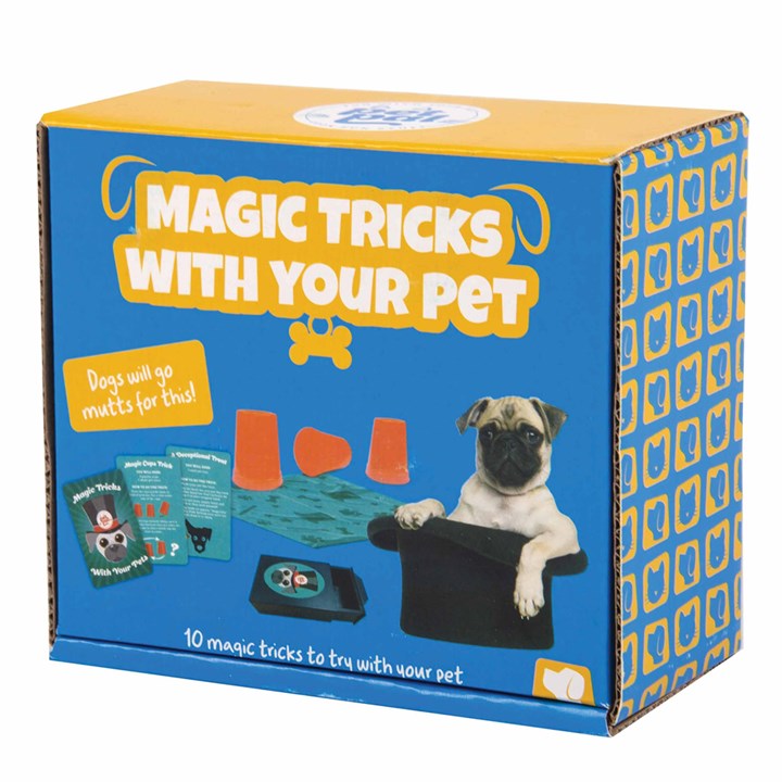 Magic Tricks With Your Pet Game