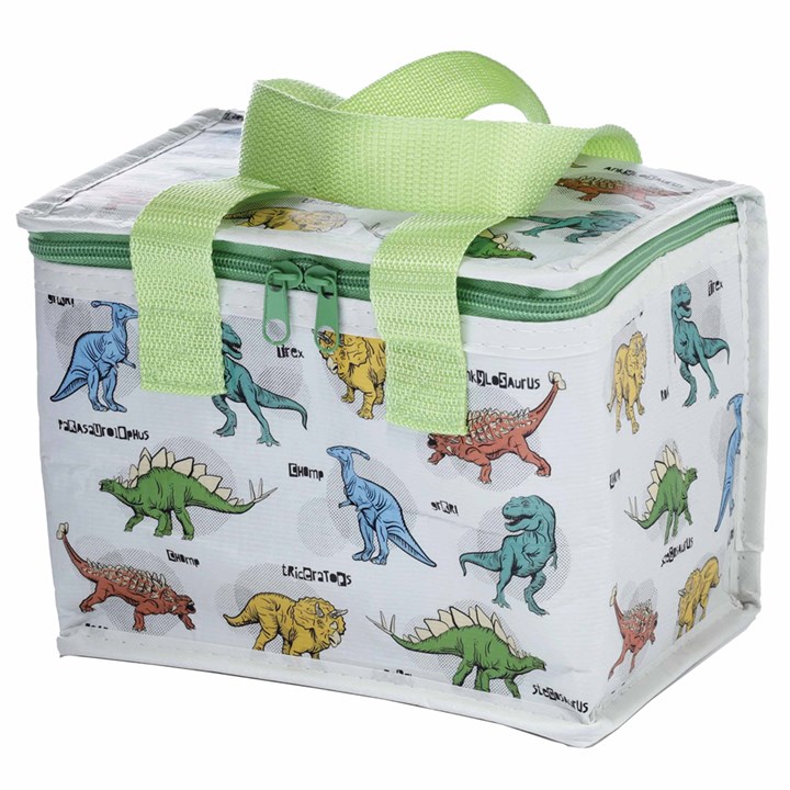 Dinosaur Print Lunch Bag