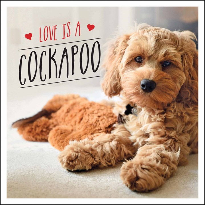 Love is a Cockapoo Book