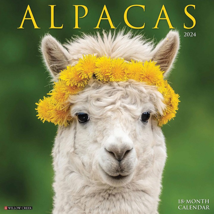 Alpacas Calendar 2024