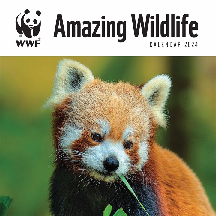WWF, Amazing Wildlife Calendar 2024