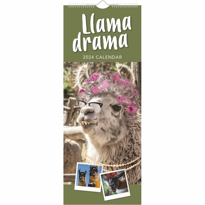 Llama Drama Slim Calendar 2024