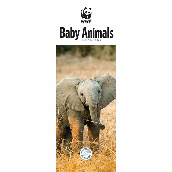 WWF, Baby Animals Slim Calendar 2024
