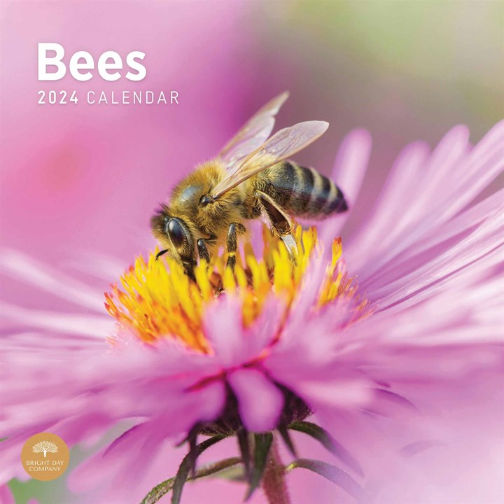 Bees Calendar 2024