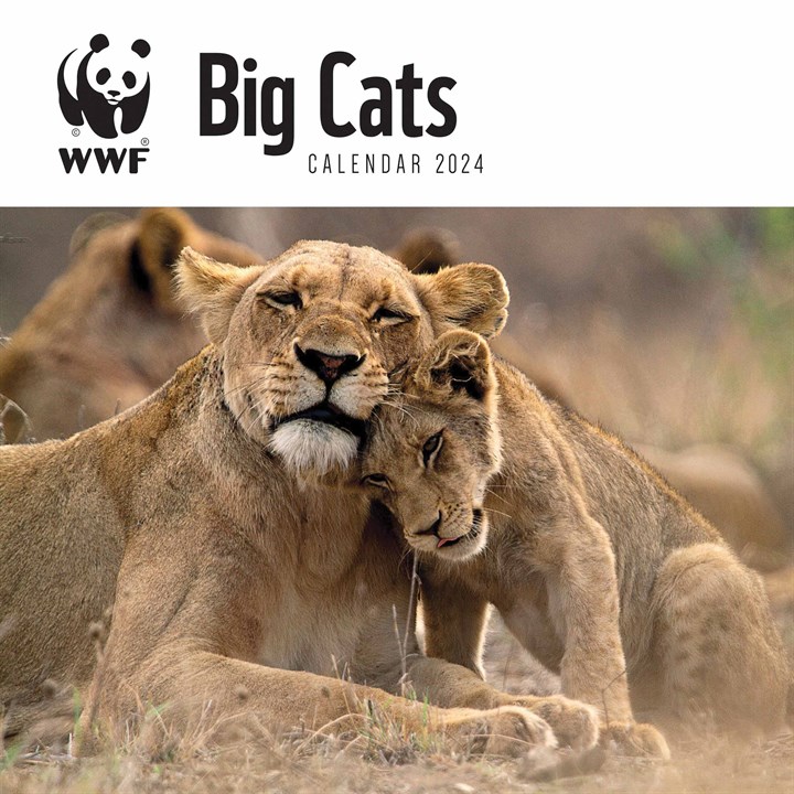 WWF, Big Cats Calendar 2024