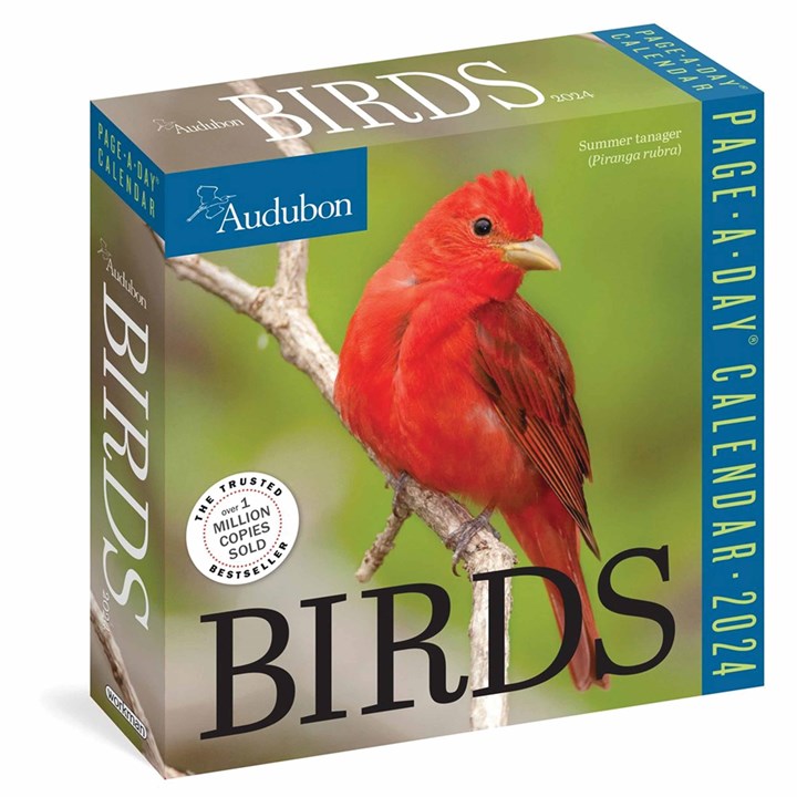 Audubon, Birds Desk Calendar 2024