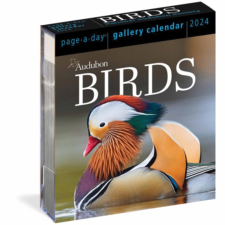 Audubon, Birds Gallery Desk Calendar 2024