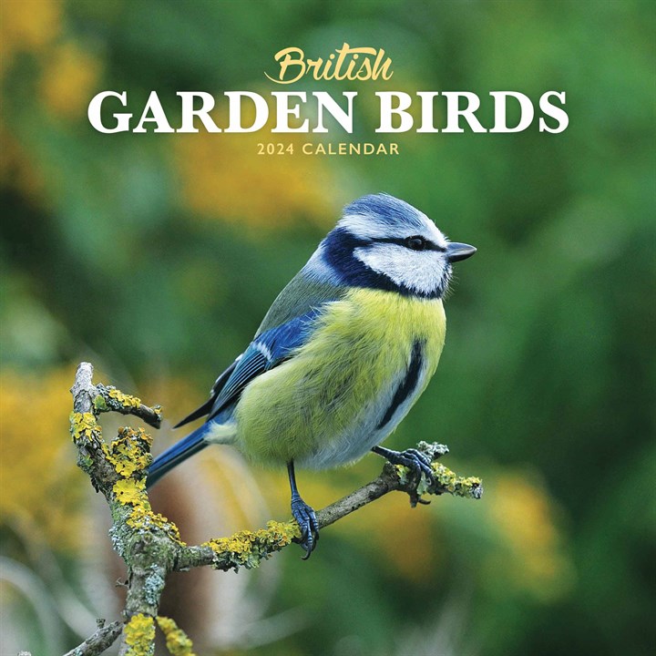 British Garden Birds Mini Calendar 2024