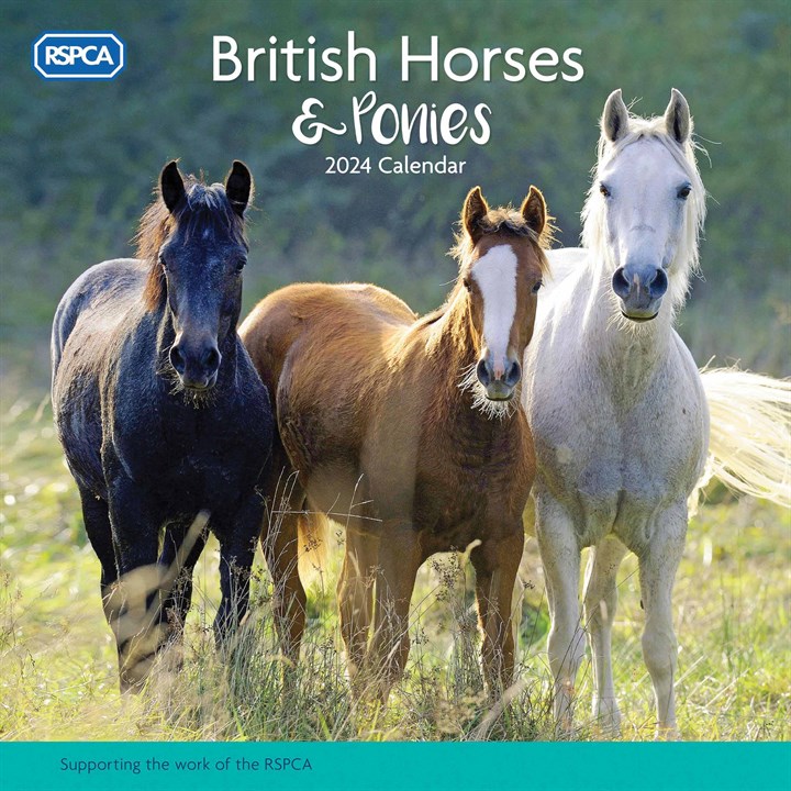 RSPCA, British Horses & Ponies Calendar 2024