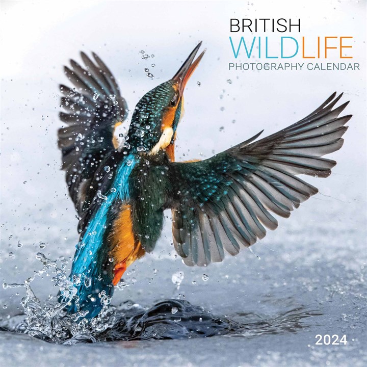 British Wildlife Photography Calendar 2024
