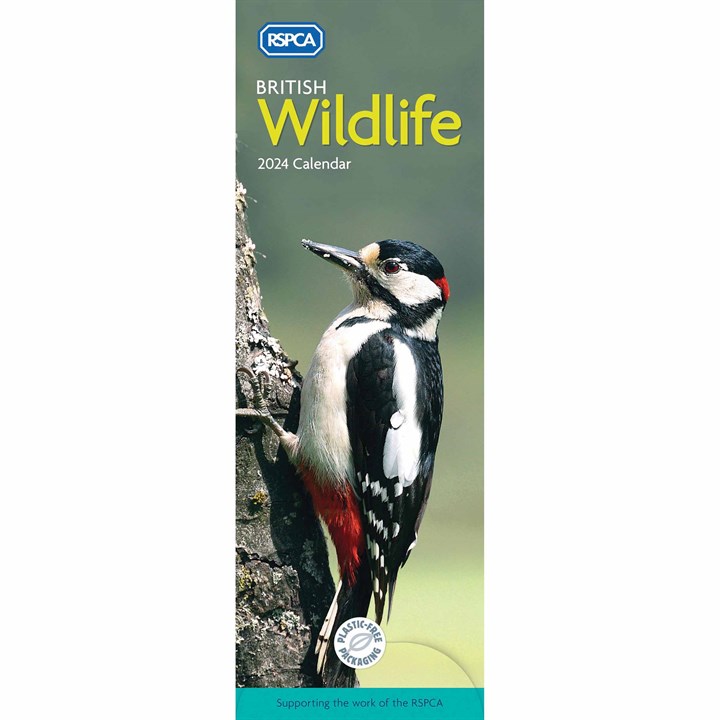 RSPCA, British Wildlife Slim Calendar 2024