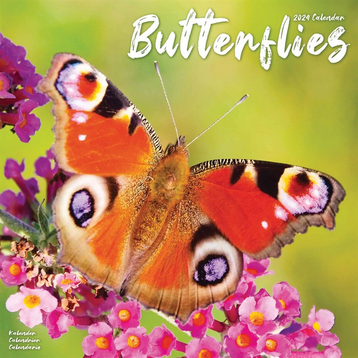 Butterflies Calendar 2024