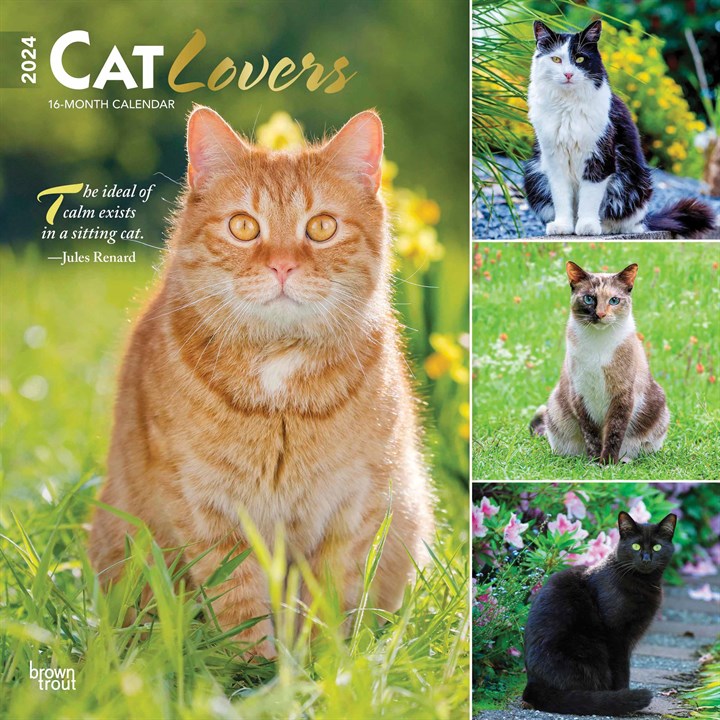 Cat Lovers Calendar 2024