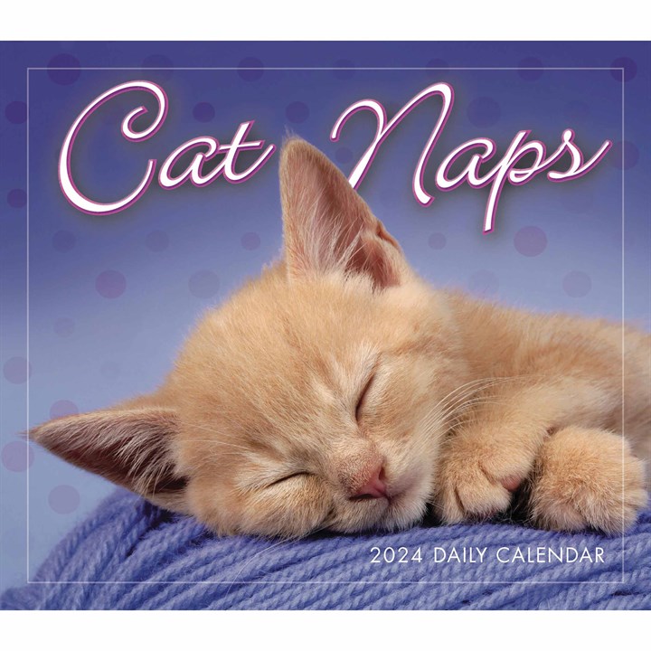 Cat Naps Desk Calendar 2024