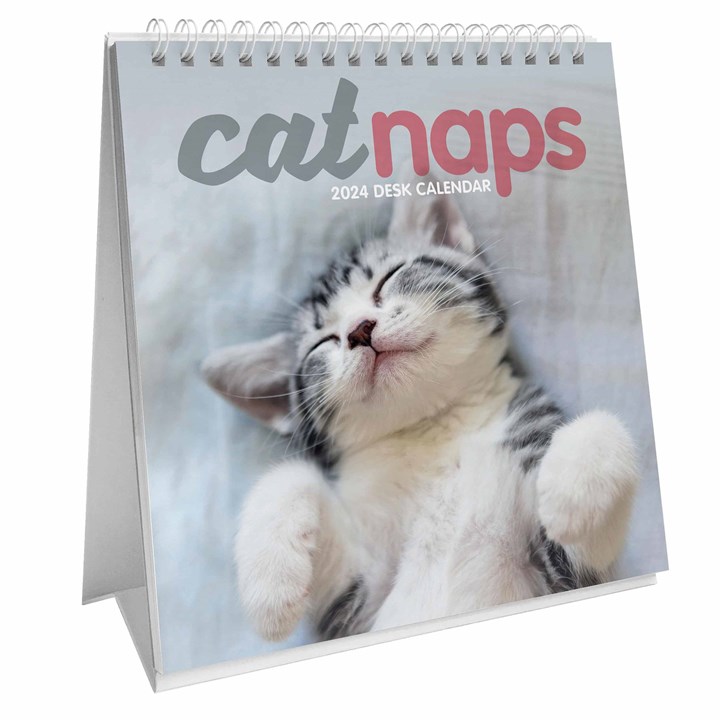 Cat Naps Easel Desk Calendar 2024