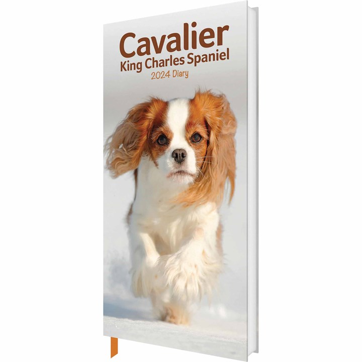 Cavalier King Charles Spaniel Slim Diary 2024