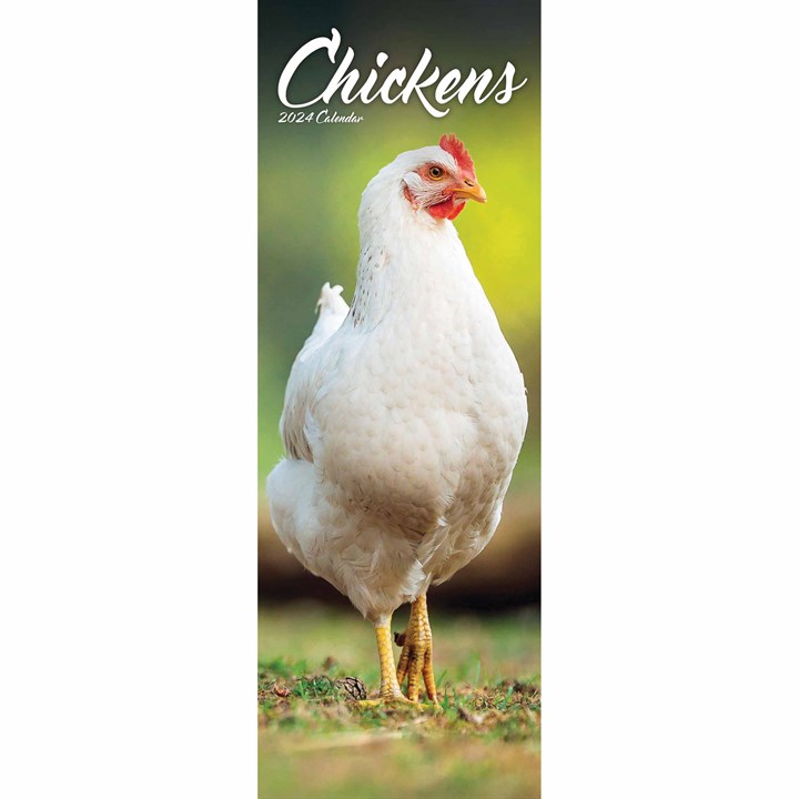 Chickens Slim Calendar 2024