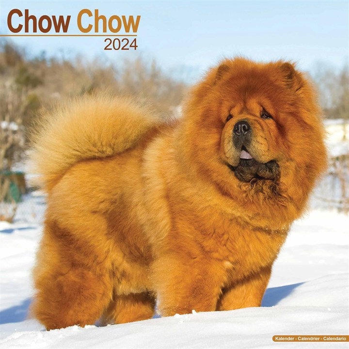 Chow Chow Calendar 2024