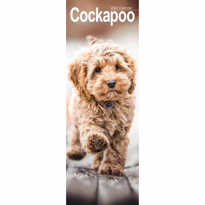 Cockapoo Slim Calendar 2024