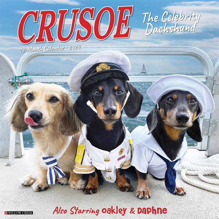 Crusoe The Dachshund Calendar 2024