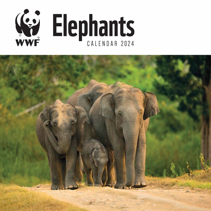 WWF, Elephants Calendar 2024