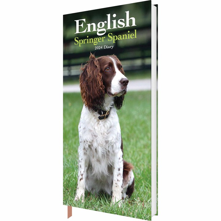 English Springer Spaniel Slim Diary 2024