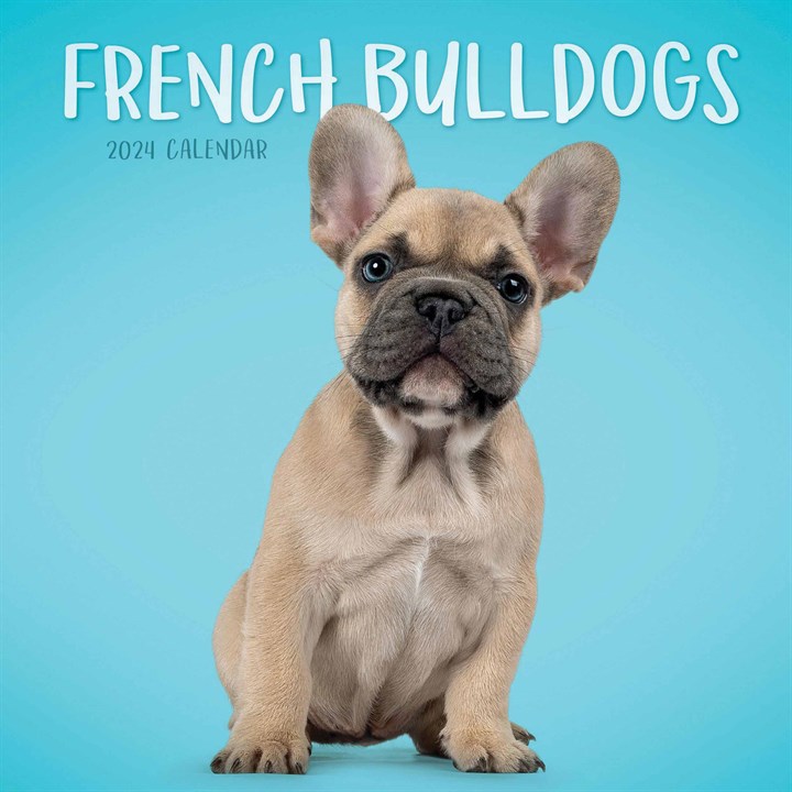 French Bulldogs Mini Calendar 2024