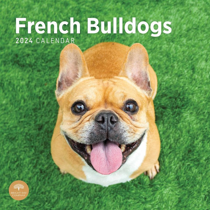 French Bulldogs Calendar 2024