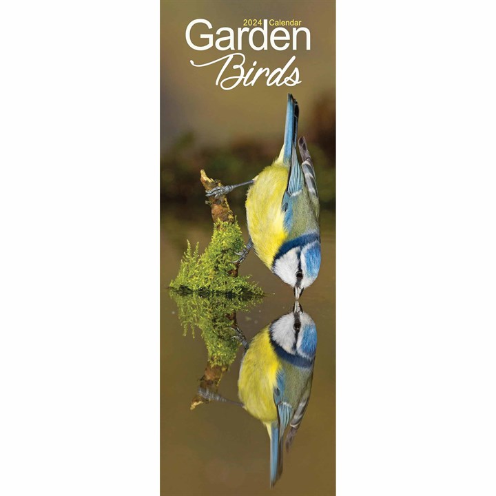 Garden Birds Slim Calendar 2024