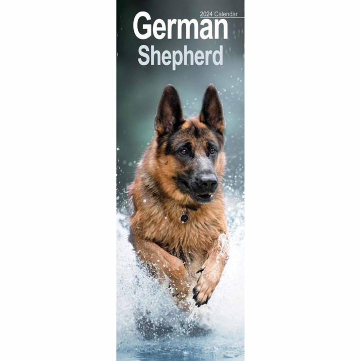 German Shepherd Slim Calendar 2024